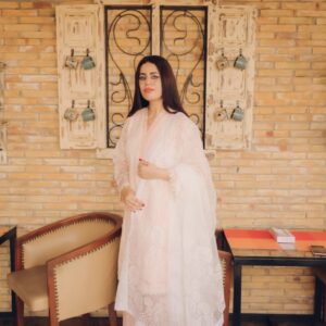 3 pcs Blush Chikankari Organza Suit